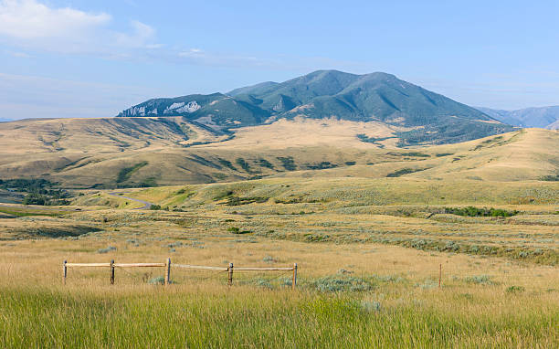 풋힐/베어 이 mountans, 레드 산장형, 코리엔테스, usa. - montana plain prairie mountain 뉴스 사진 이미지