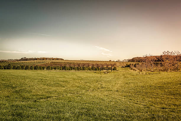 Autumn on American Farm