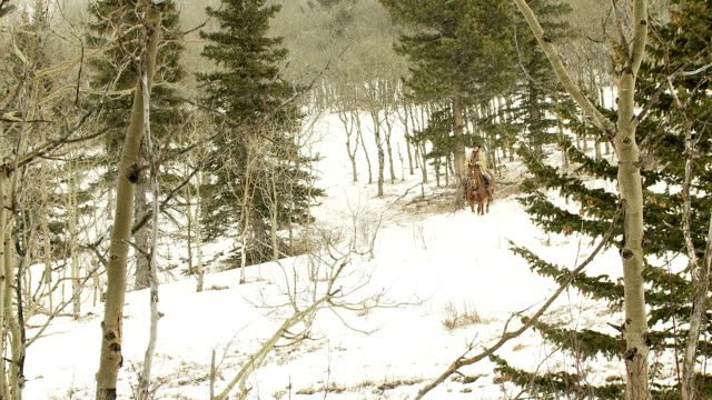 Cowboy with his horse in the snow during winter