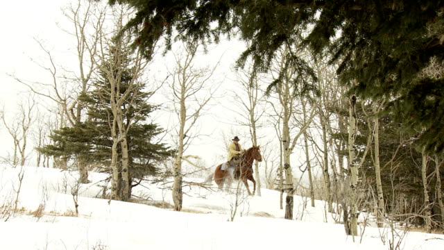Cowboy with his horse in the snow during winter