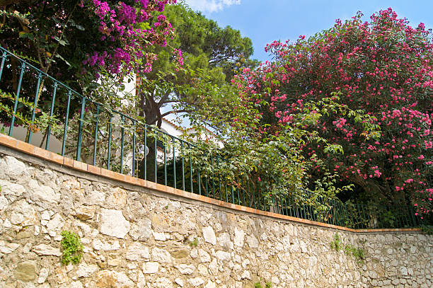 istock red flowers on the wall 473099790