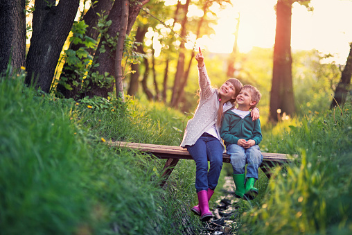 Little boy aged 5 and his elder sister aged 9 are sitting on the small bridge in the forest. They are enjoying beautiful nature and the sunset, smiling happily. The girl is pointing out at something on the tree.