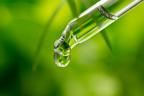 istock Herbal essential oil dropped on green plant background 473112778
