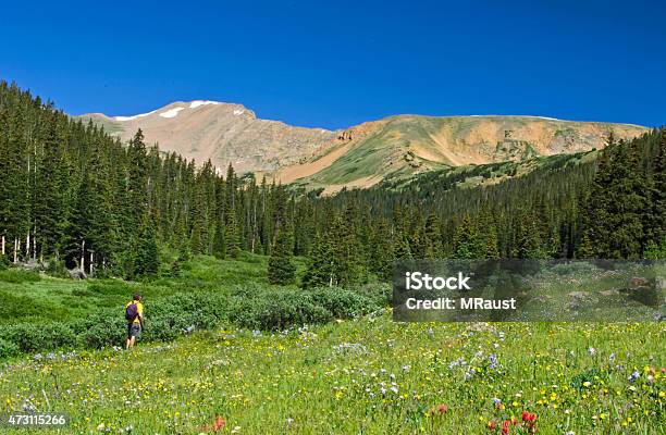 Lone Hiker In A Mountain Meadow Stock Photo - Download Image Now - 2015, Adventure, Colorado