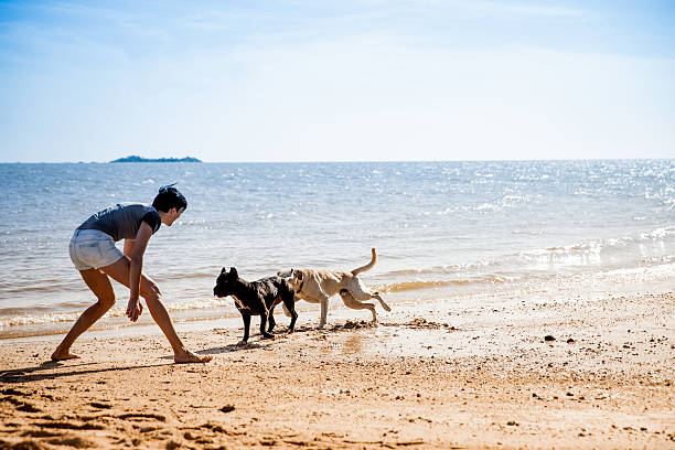 Woman playing with her dog on the beach on a beautiful sunny day.