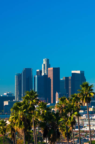 istock Downtown Los Angeles skyline with palm trees, copy space 473121486