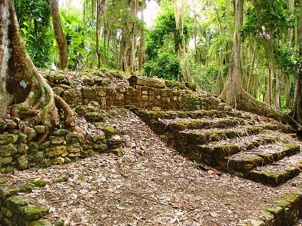 maya-ruinen - costa maya stock-fotos und bilder
