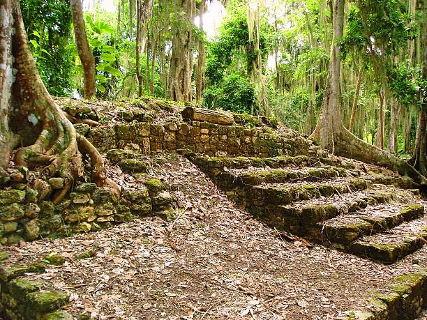 mayans 유적지 - costa maya 뉴스 사진 이미지