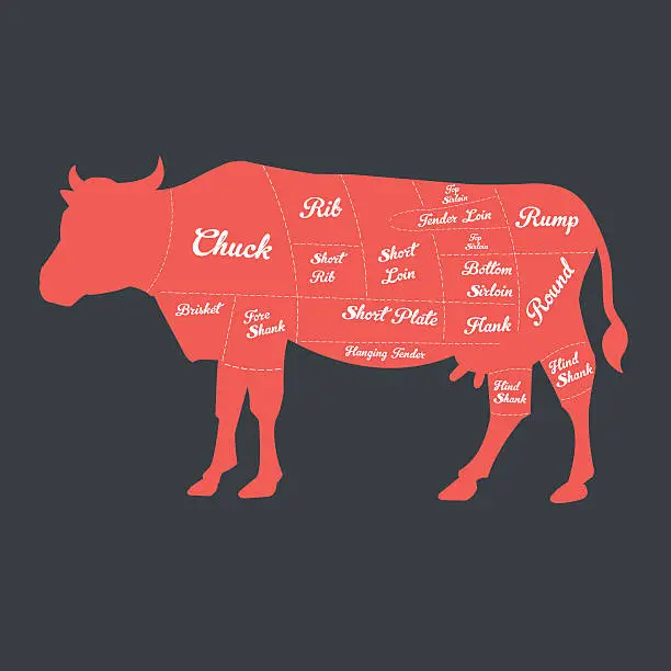 Vector illustration of Illustration of Beef Cuts Chart