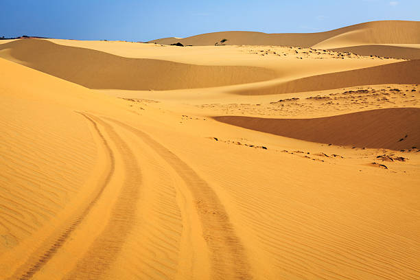 istock car tracks in desert 473126642