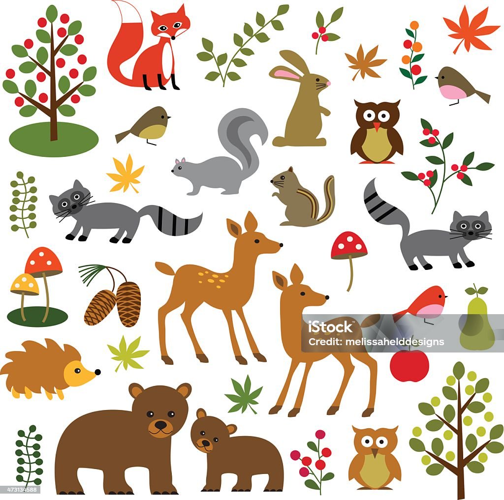 Many illustrations of woodland animals A collection of all kinds of woodland animals and plants. 2015 stock vector