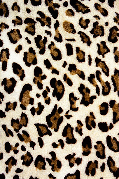 istock texture of print fabric stripes leopard for background 473136960