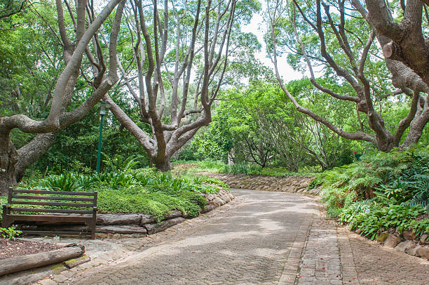 통로 있는 컬슈텐보쉬 국립 식물학 가이엔 - formal garden garden path bench flower 뉴스 사진 이미지