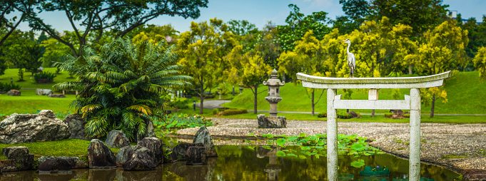 Sunbathing heron on traditional Torii gate in tranquil lily pond in the Japanese Gardens park of Singapore. ProPhoto RGB profile for maximum color fidelity and gamut.
