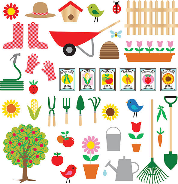 ilustraciones, imágenes clip art, dibujos animados e iconos de stock de la jardinería clipart - tulip sunflower single flower flower