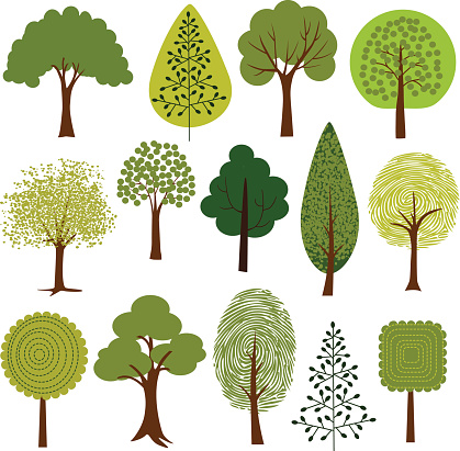 A collection of illustrated vector trees