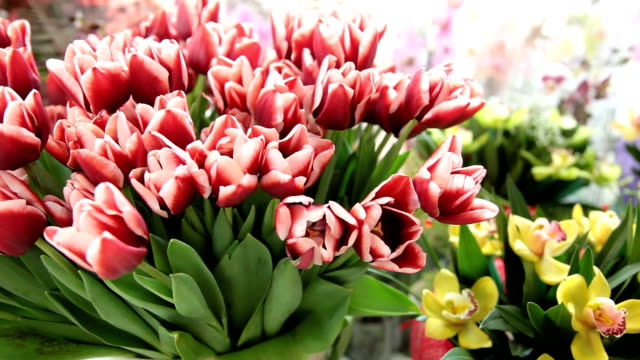 DOLLY: Fresh Cut Flowers In Florist Shop