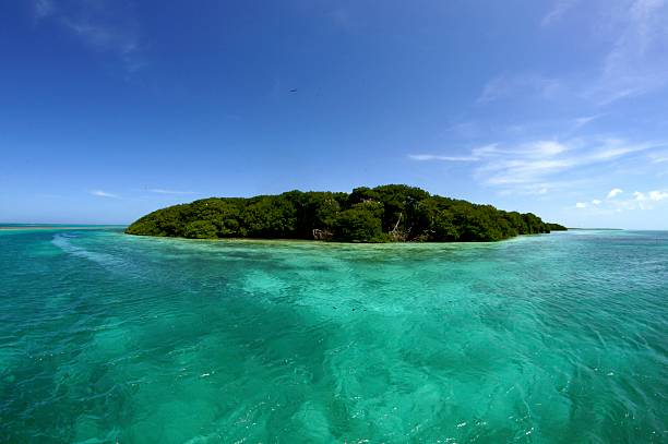 istock Island in green waters 473152370
