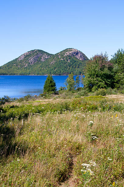 istock View from Behind the Jordan Pond House 473152902