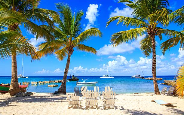 istock Caribbean beach in Dominican Republic 473152950