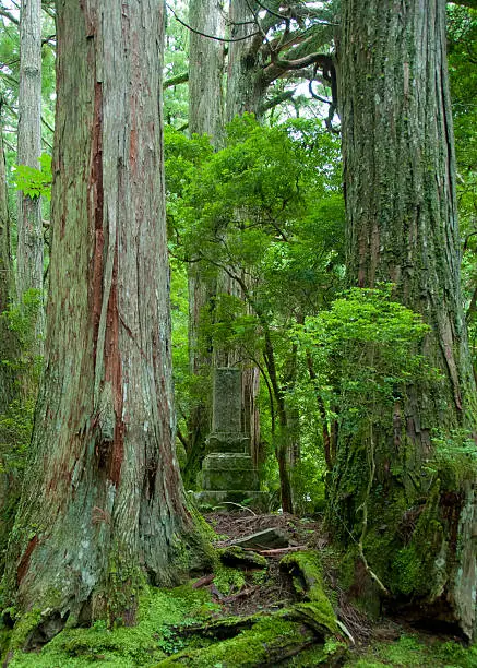 Okunoin ancient Buddhist cemetery in Koyasan, Japan.