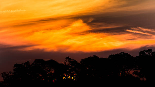 istock colorful sunset in Sydney 473157934
