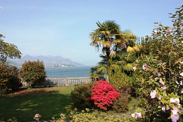 Spring azaleas and palm trees on Lake Maggiore in Stresa Italy under blue skies on a beautiful day.