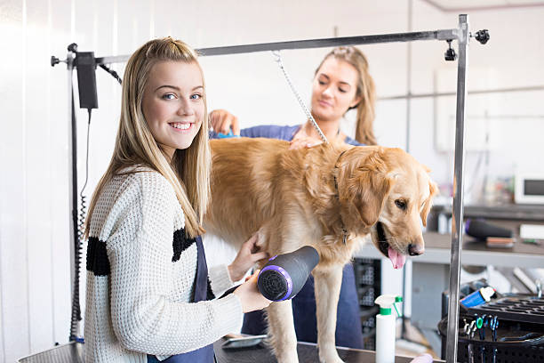 istock Dog groomer portrait 473162880