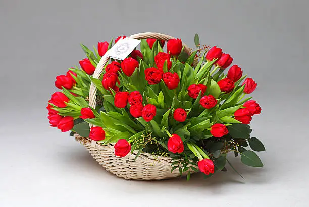 Basket of red tulips for Women's International Day and St. Valentine's Day