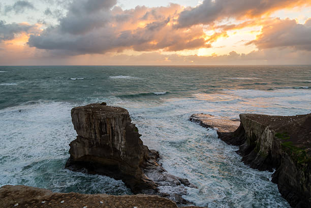 istock Muriwai Gannet Colony 473164838