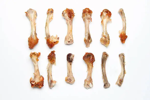 Photo of gnawed chicken bones