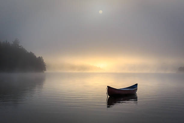 Misty Morning on Lake Peaceful misty lake shot of canoe.  rowboat stock pictures, royalty-free photos & images