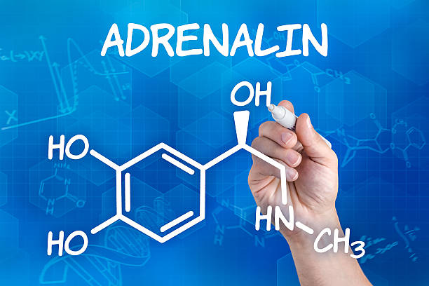 istock hand with pen drawing the chemical formula of adrenalin 473169146