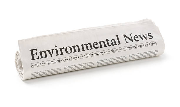 istock Rolled newspaper with the headline Environmental News 473170218