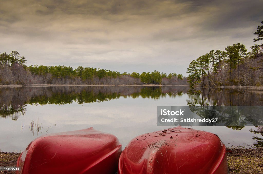 Lago con riflessione di alberi - Foto stock royalty-free di 2015