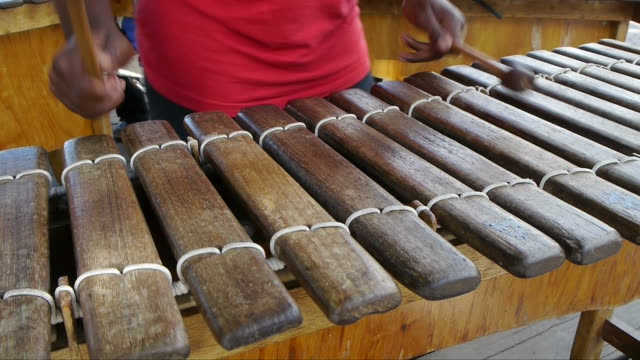 marimba player in cape town