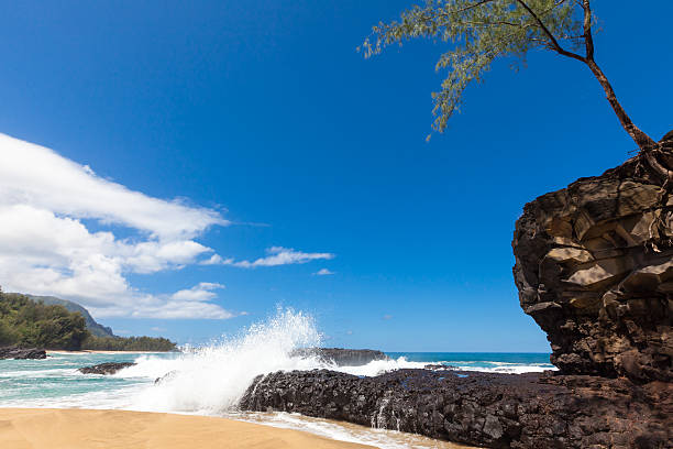 fal rozbijających się na lava rock na pieknej, piaszczystej plaży - kauai tropical climate green travel destinations zdjęcia i obrazy z banku zdjęć