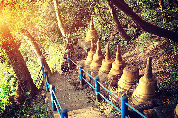a monkey walking hiking trail on mountain,tiger cave temple,thailand