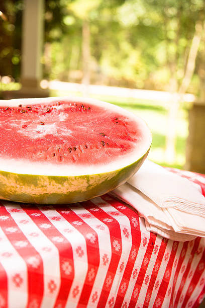 スライスのスイカ屋外でのピクニックテーブルを配しております。夏ます。 - picnic watermelon tablecloth picnic table ストックフォトと画像