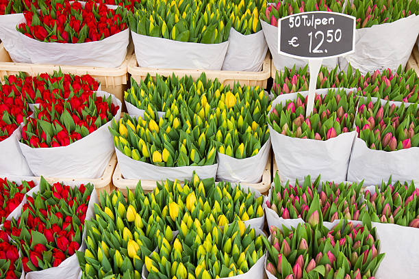 istock Colorful tulips on sale 473180062