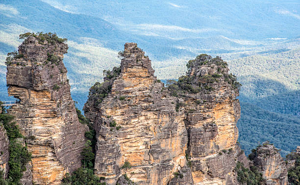 istock Closeup of Three Sisters 473180386
