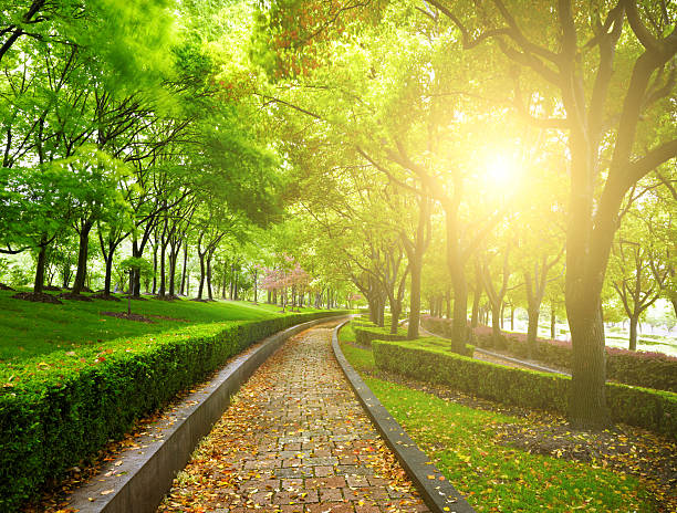 istock Green city park 473184914