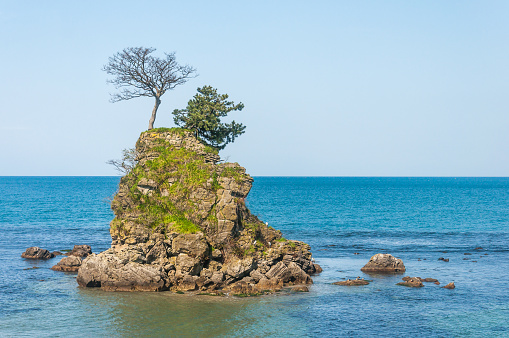 Small rock in the sea of Japan with small tree cover