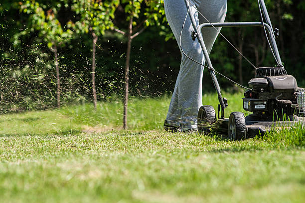 istock Young female in yard - pushing grass trimming lawnmower 473188516