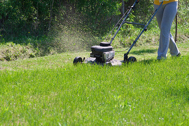 istock Young female in yard - pushing grass trimming lawnmower 473188518