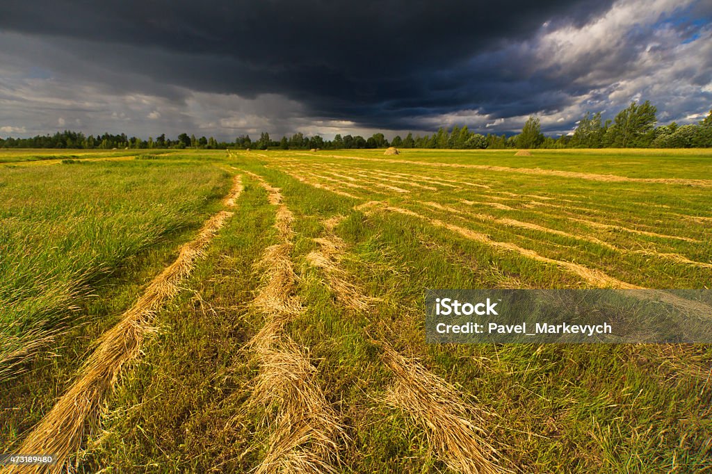 Field stormy sky road 2015 Stock Photo