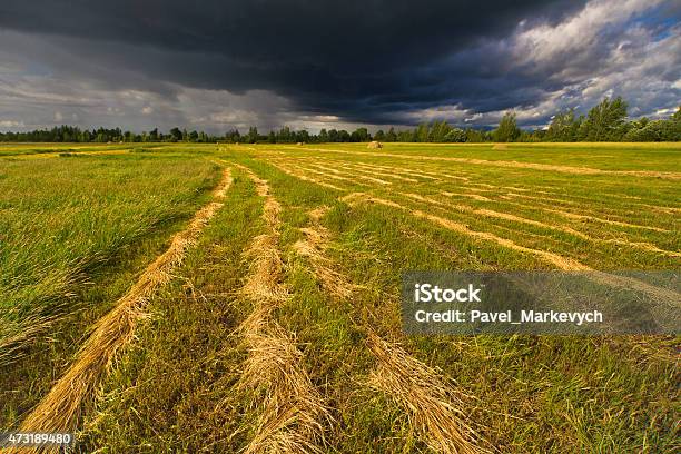 Field Stormy Sky Road Stock Photo - Download Image Now - 2015, Agricultural Field, Cloud - Sky