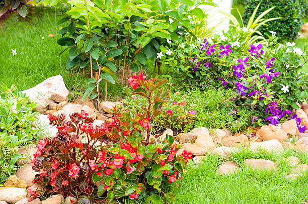 istock Colorful flowers in garden 473190252