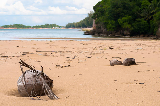istock Desiccated Coconut on Beach 473195868