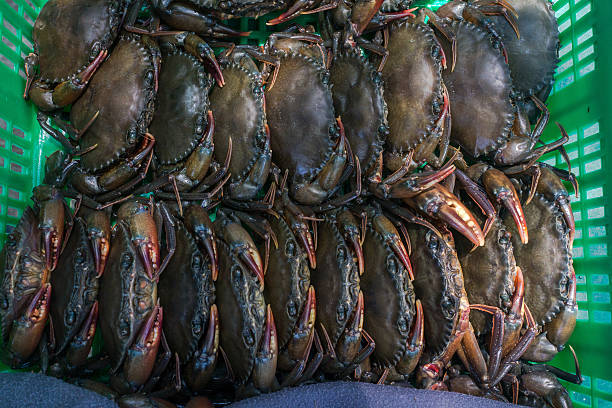 Soft-shelled crabs in green basket stock photo